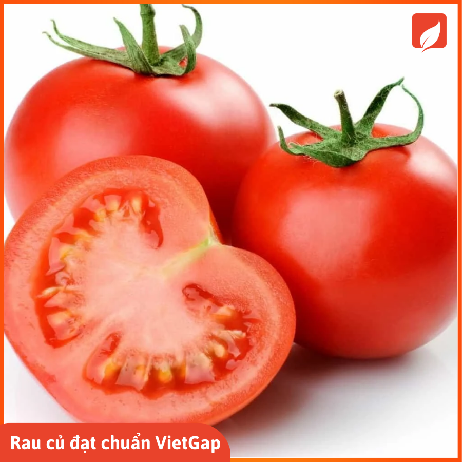 Cà chua quả chuẩn hữu cơ túi 1kg +/- 40gr