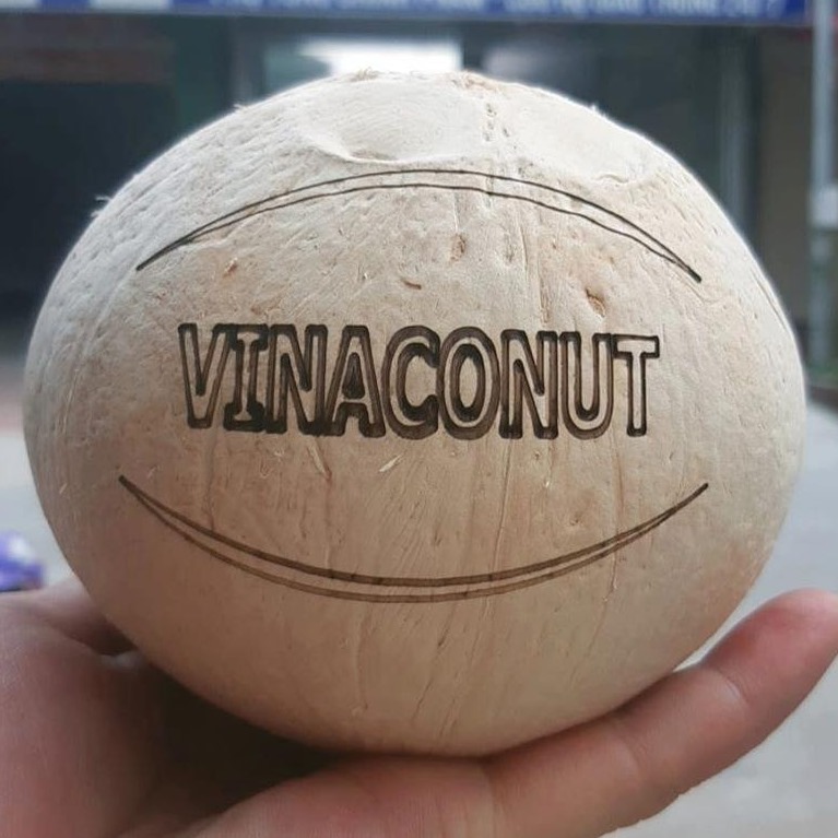 Dừa Xiêm Vinaconut