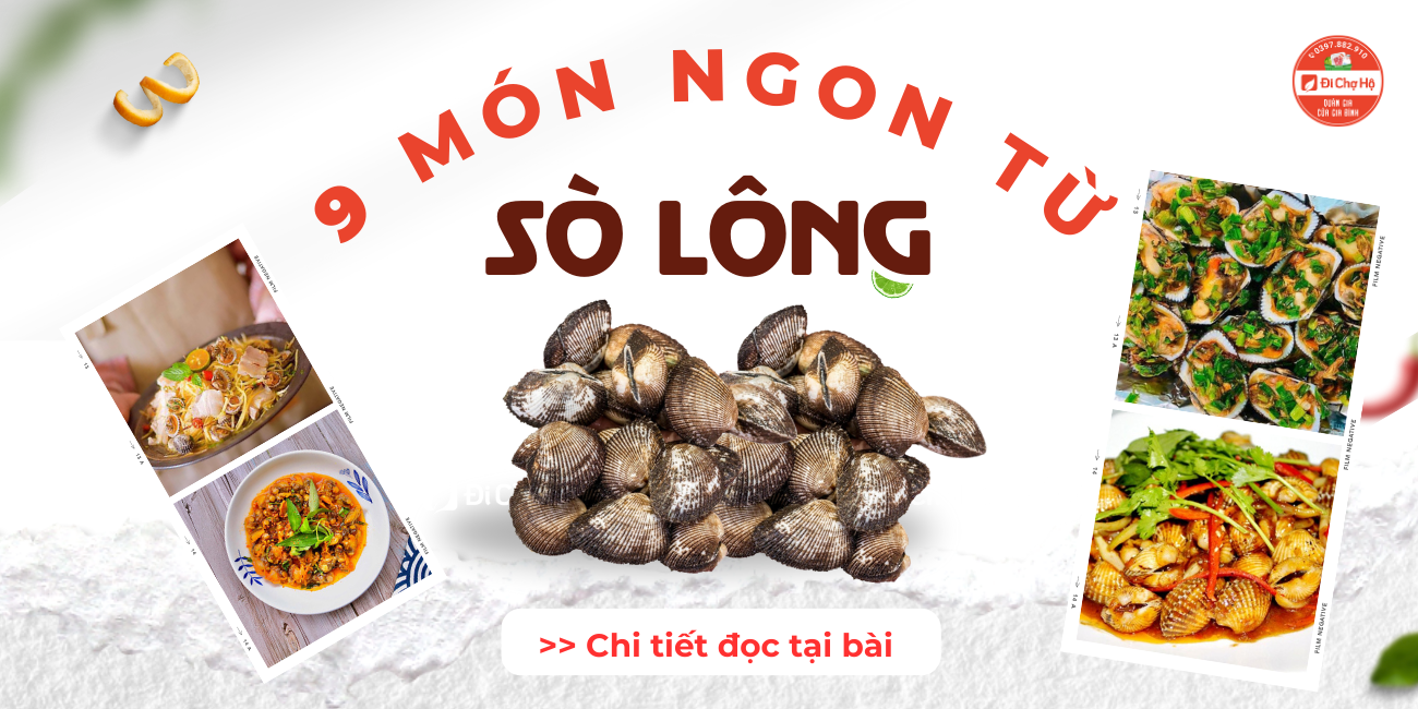 9 Món Ngon Từ Sò Lông Nhất Định Bạn Phải Thử Ngay Trong Hè Này