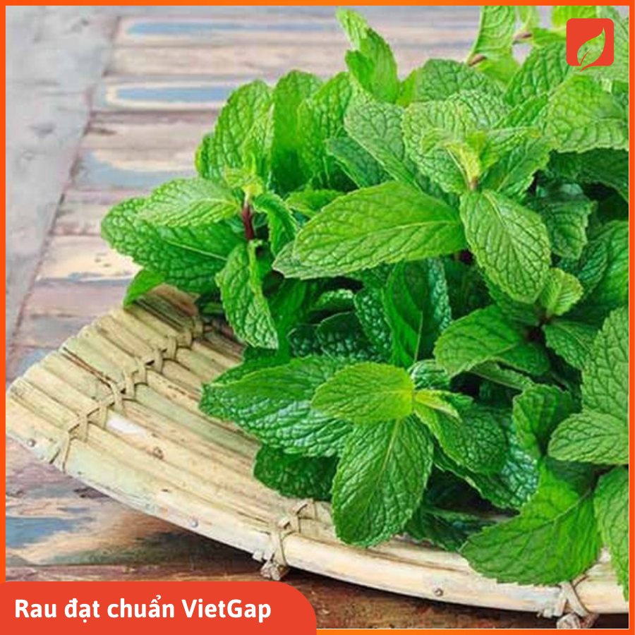 Rau Bạc hà chuẩn VietGap ( túi 0.2kg +/-8gr )