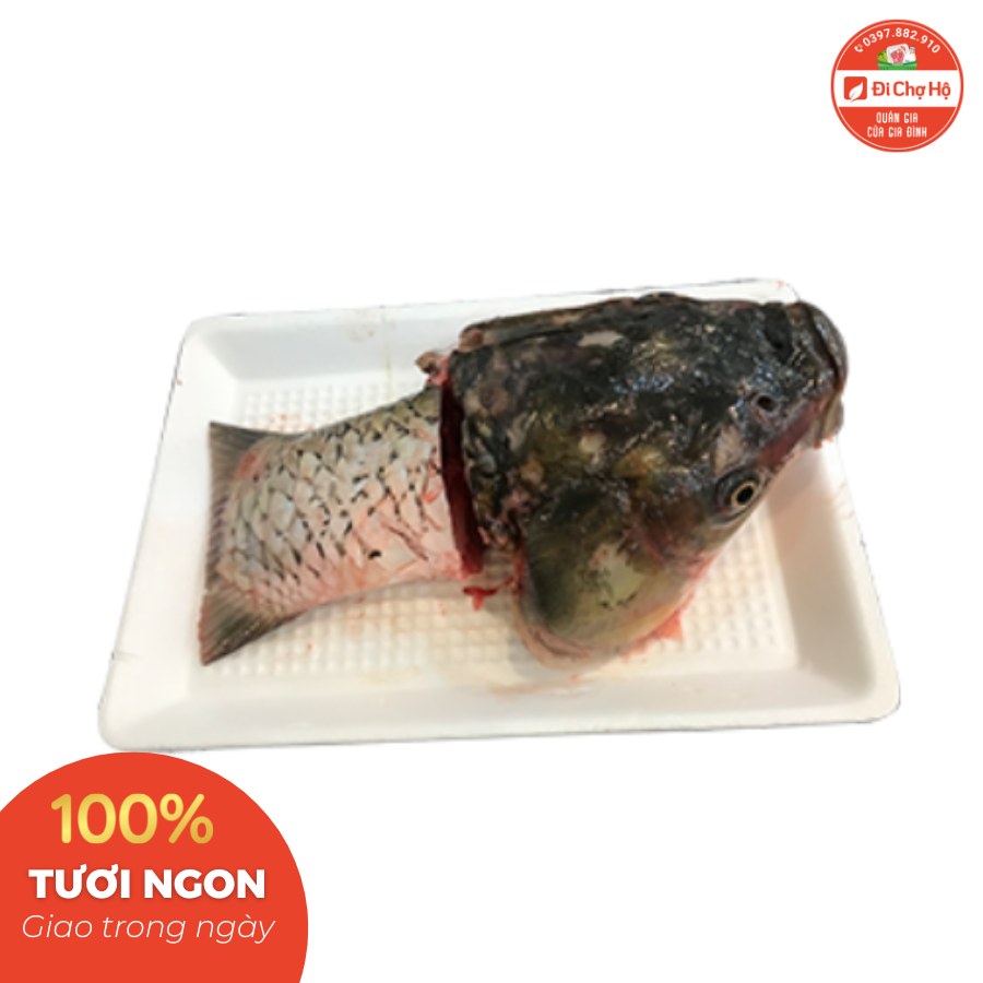 Đầu cá trắm đen loại 500gr-1kg