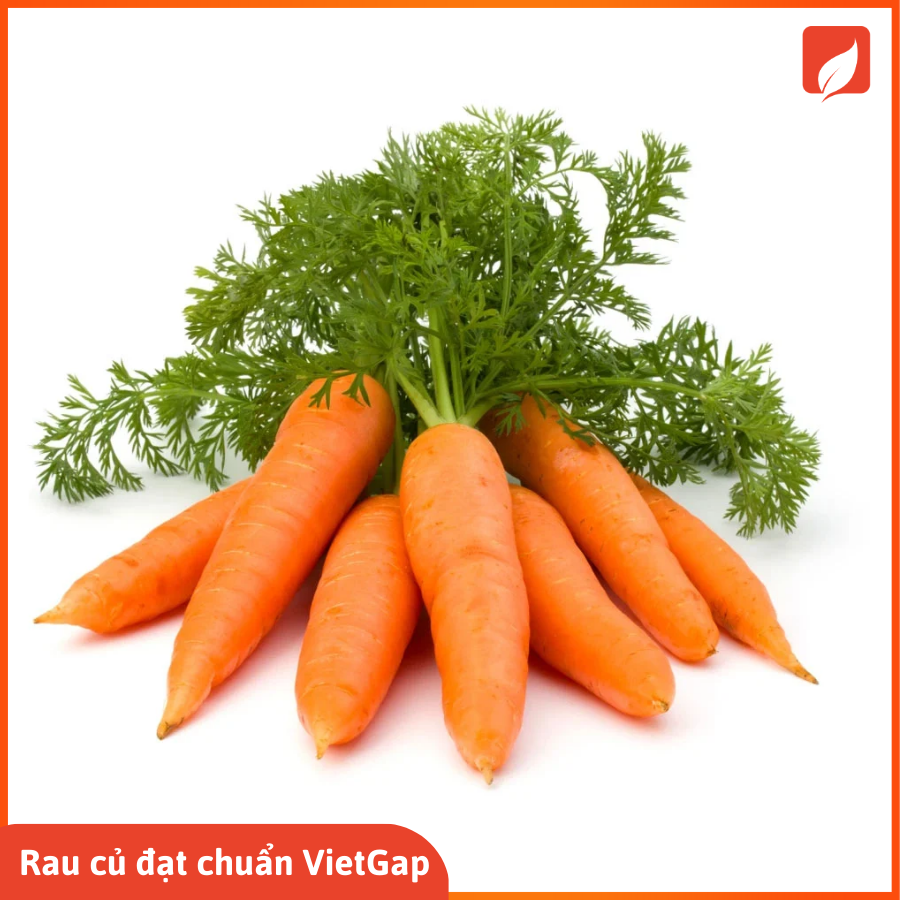 Cà rốt chuẩn VietGap túi 1kg