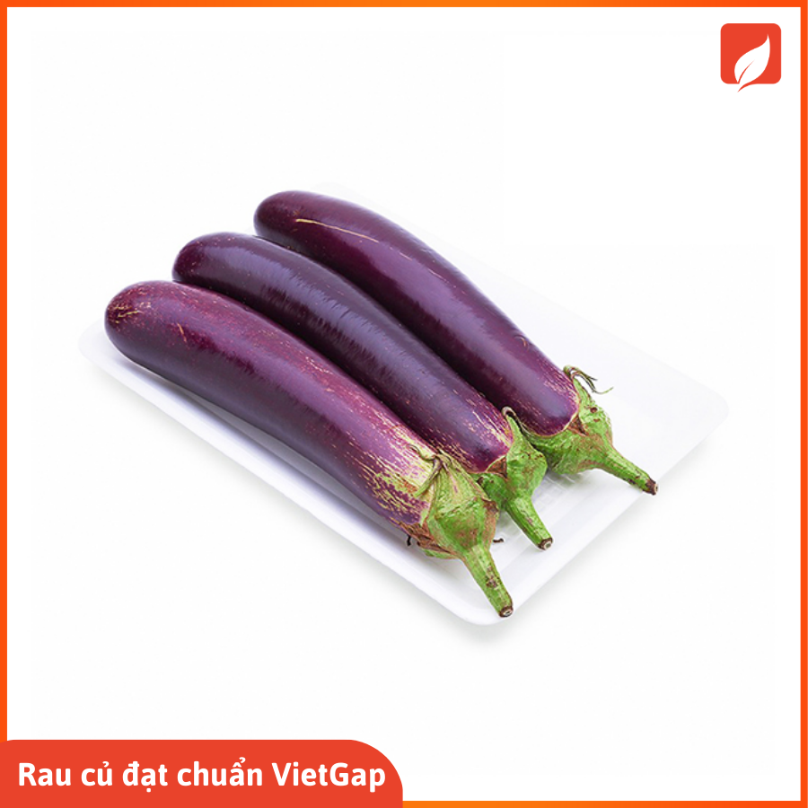 Cà tím dài chuẩn VietGap túi 1kg