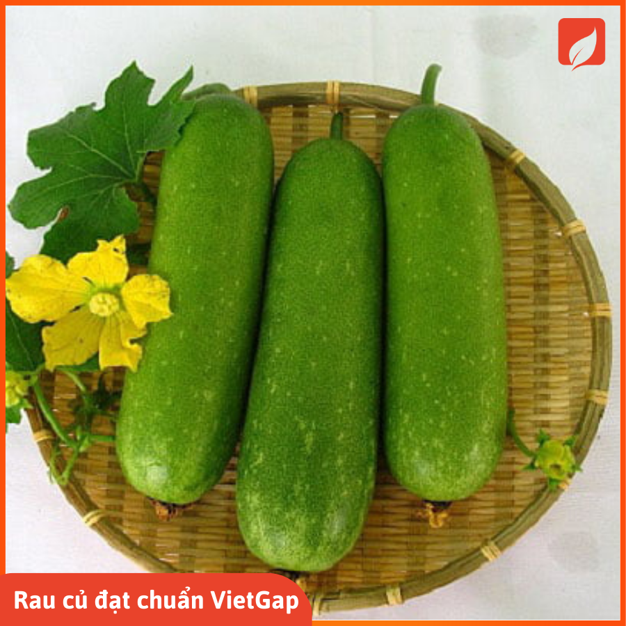 Bí Xanh chuẩn VietGap 500g (sơ chế)